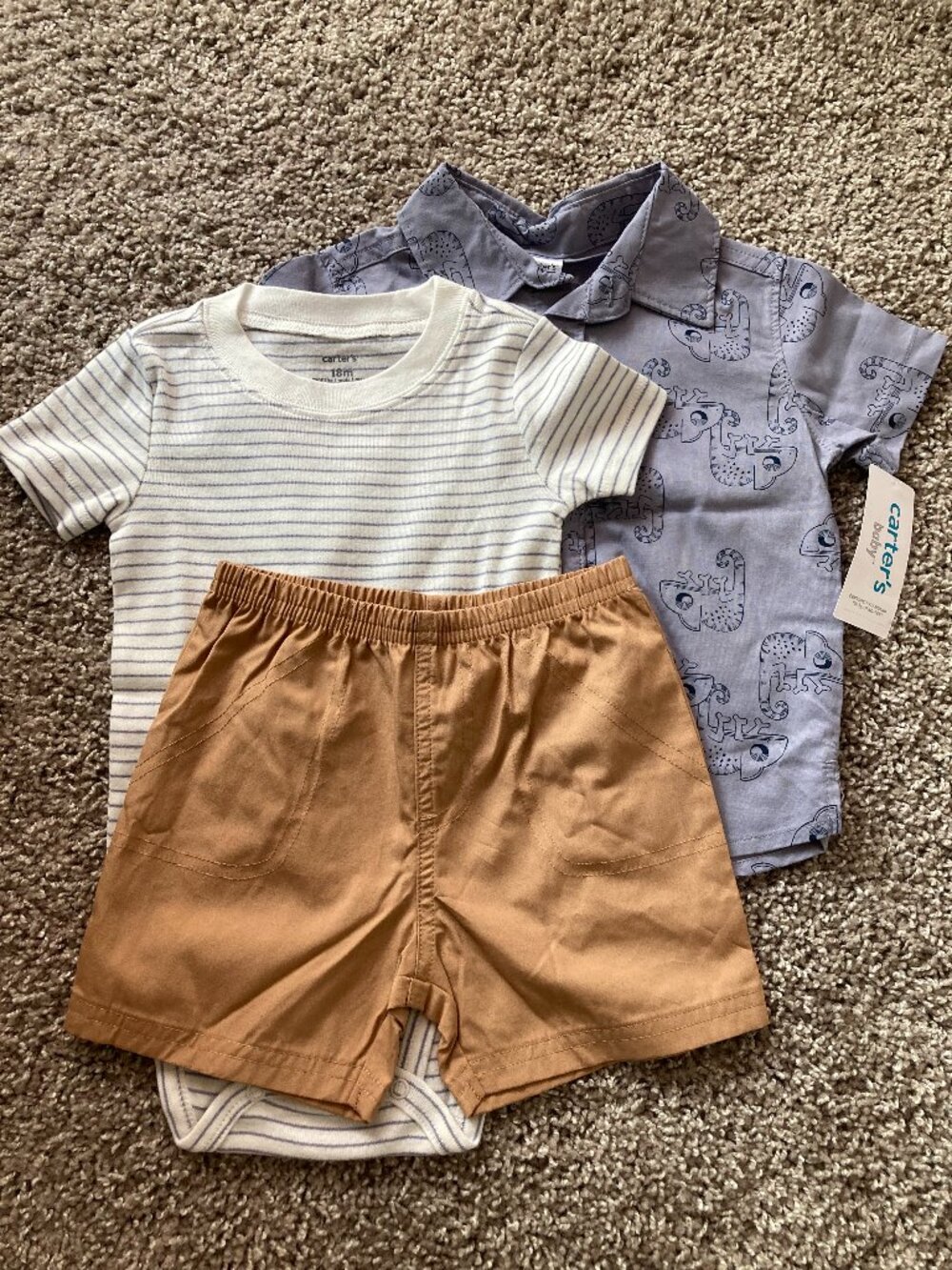 Carters Chameleon Outfit Set Size 18mo